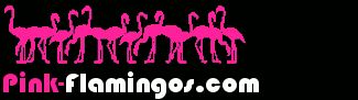 pink-flamingos.com logo