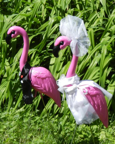 2 HUGE PINK FLAMINGOS with Bride/Groom Clothing Outfits